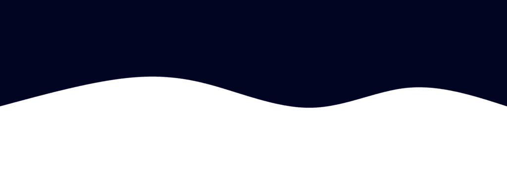 svg 9 Kopie 1 e1732216688101